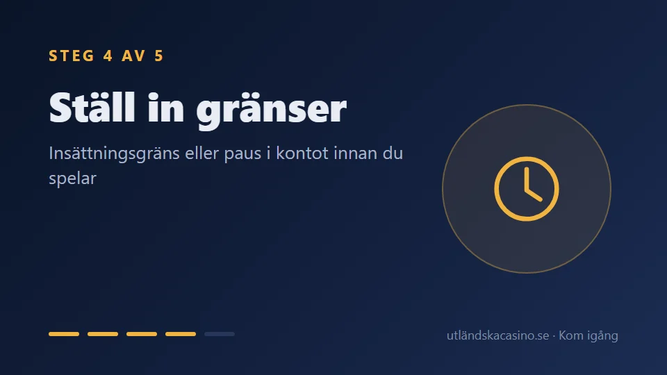 Steg 4: Ställ in gränser